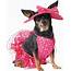 California Costumes Pretty In Pink Dog Costume Medium  Chewycom