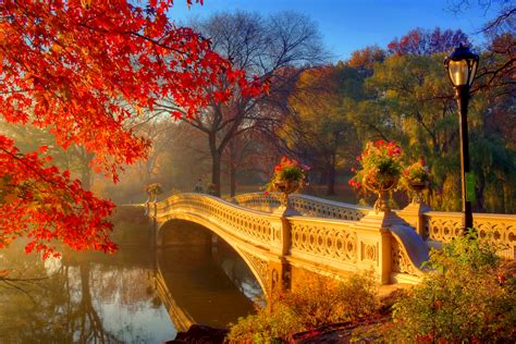 Bridge Over The River In A Beautiful Autumn Forest With