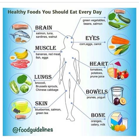 Healthy Foods To Eat Daily