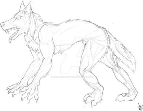 Werewolf Anatomy Sketch By Nyriathewingedwolf On Deviantart