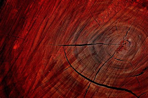 Wood Texture Macro Nature Trees Red Wallpapers Hd Desktop And Mobile Backgrounds