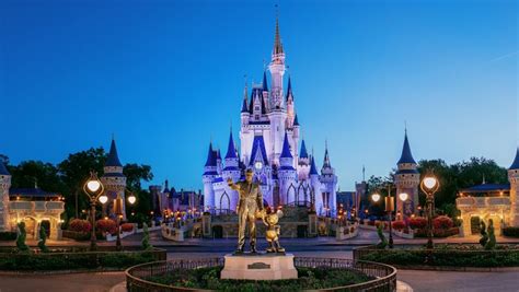 Upskill your workforce in an instant. 45 Walt Disney World Photos That Will Make You Believe in Magic - D23