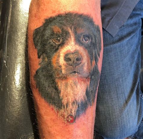 15 Bernese Mountain Dog Tattoo Ideas Page 2 Of 5