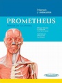 Prometheus. Póster de Anatomía: Huesos y músculos