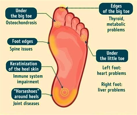 Your Feet And How They Are Connected To Your Body Healthsinfo