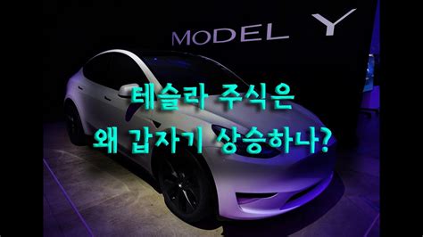 삼성전자의 지난 30일간의 주가 변화가 참 다이나믹하네요. 테슬라 주가(Tesla Stock)는 왜 급등하고 있나? - YouTube