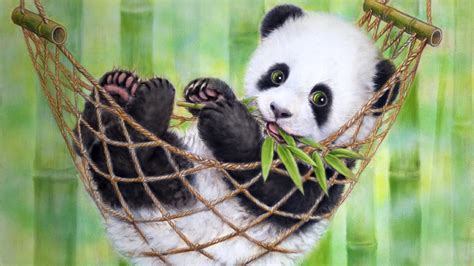 Baby Panda Wallpapers ·① Wallpapertag