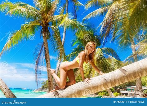 Junges Sch Nes M Dchen Im Bikini Auf Der Palme Auf Einem Tropischen Ist