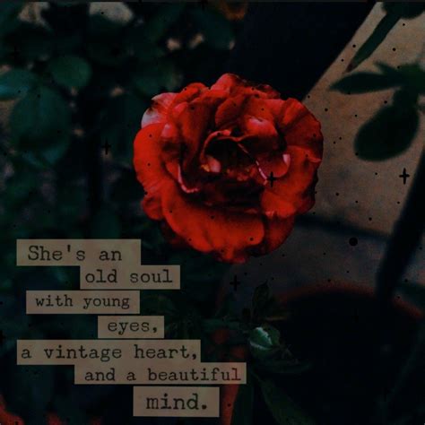 Rose Aesthetic Quotes References Mdqahtani