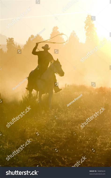 Cowboy Silhouette Galloping And Roping Through The Desert Stock Photo