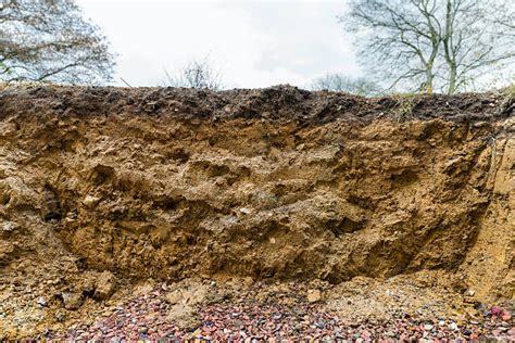 Silt Soil Stock Photos Pictures And Royalty Free Images Istock