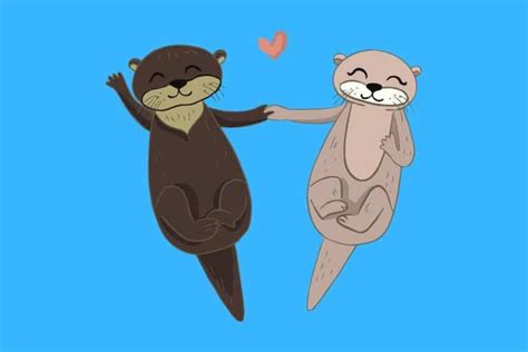35 Funny Otter Jokes Heres A Joke