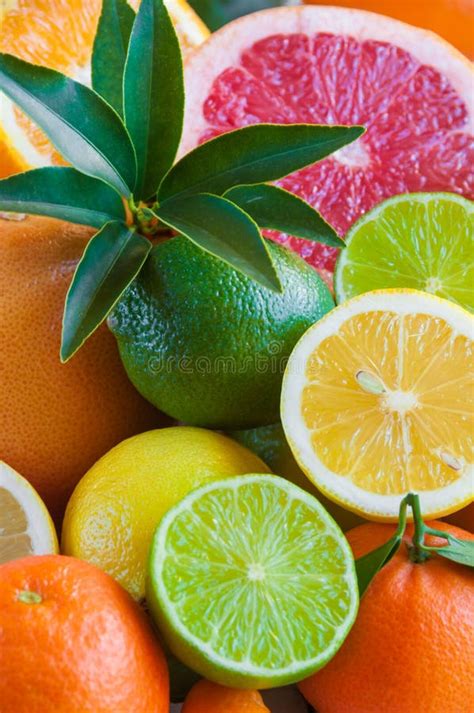 Fresh Citrus Fruits Orange Lemon Grapefruit Mandarin Lime With