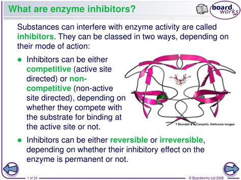 Ppt What Are Enzyme Inhibitors Powerpoint Presentation Free