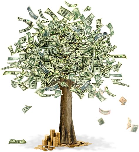 Money Tree Png Image
