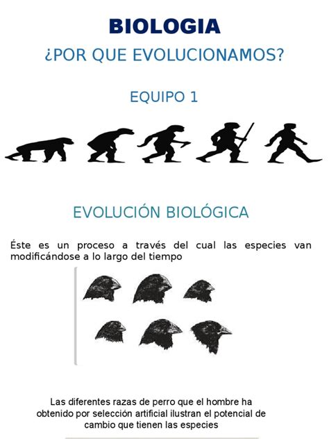 Por Que Evolucionamos