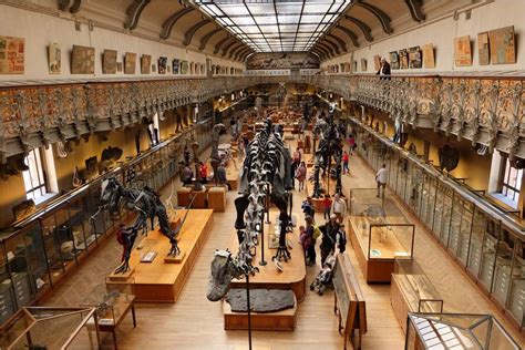 La galerie de paléontologie au Jardin des Plantes - Lucky Sophie blog ...