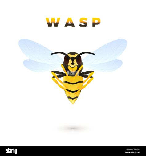 Wasp Cartoon Illustration Isolated On White Background Predatory