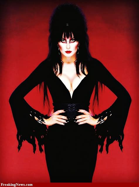 Elvira Symmetrical Elvira Movies Dark Beauty Cassandra Peterson