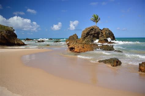 Praia De Tambaba Conde Perto De Joao Pessoa Paraiba Brasil Em De