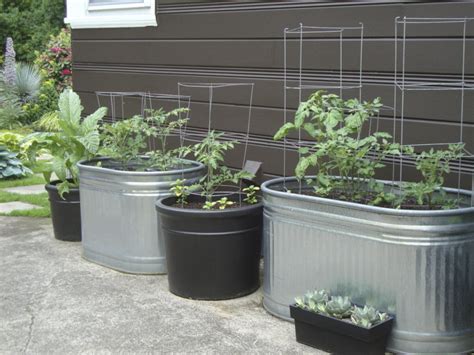 How To Do Vegetable Gardening In Containers Hubpages