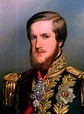Emperador Pedro II de Brasil | Brasil império, Império brasileiro ...