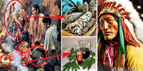 secrets of native american herbal remedies 31 long forgotten native american medicinal cure