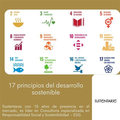 Principios Del Desarrollo Sostenible Agenda Compromiso Mundial