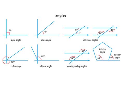 Acute Angle Noun Definition Pictures Pronunciation And Usage Notes