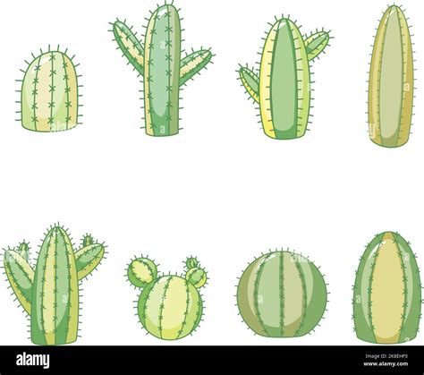 Line Art Style Cactus Or Cacti Illustration Collection For Logos And
