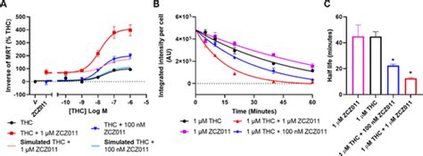 In Vitro Characterization Of 6 Methyl 3 2 Nitro 1 Thiophen 2 Yl Ethyl