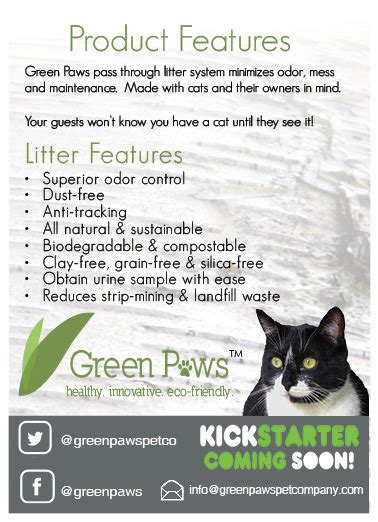 Taylor Miland — Freelancing With Green Paws Pet Company For The