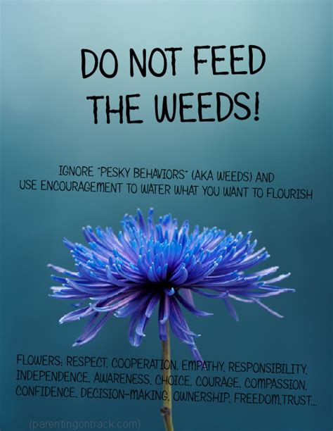 5 Ways To Stop Feeding The Weeds And Water What You Want To Flourish