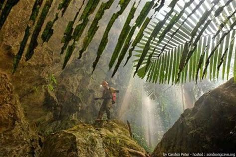 Sơn Đoòng Cave in Vietnam | Underground garden, Vietnam, World