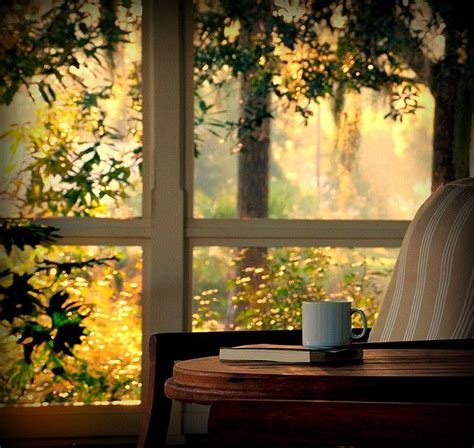 Beautiful Morning Ideas De Windows Looking Out The Window Window View