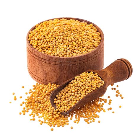 Yellow Mustard Seed Iconic Spices Unjha