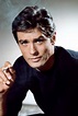 Alain Delon Top Must Watch Movies of All Time Online Streaming
