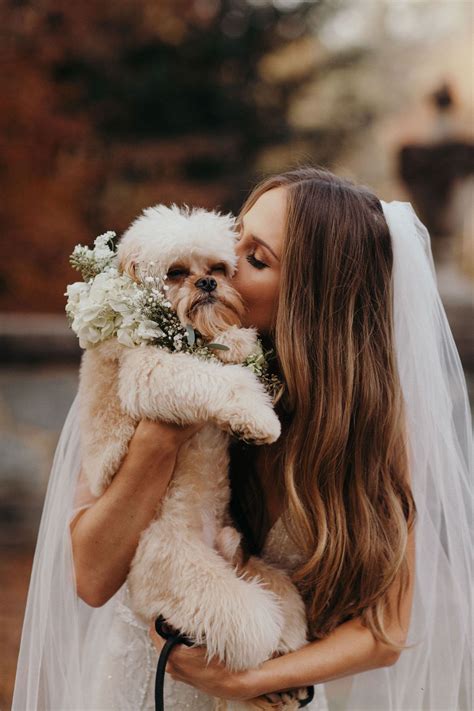 30 Absolutely Adorable Puppies And Dogs At Real Weddings In 2021 Dog