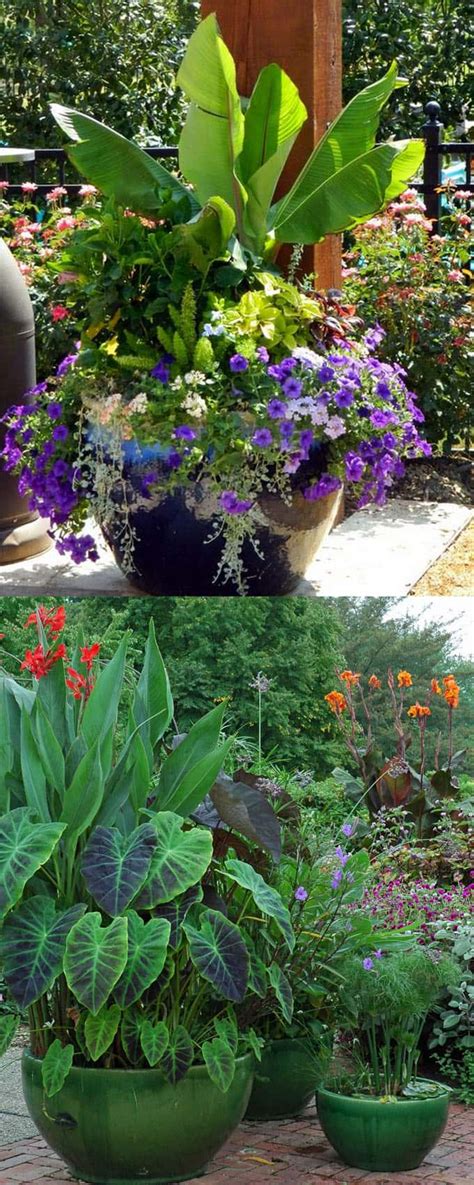 24 Stunning Container Garden Planting Designs Page 2 Of