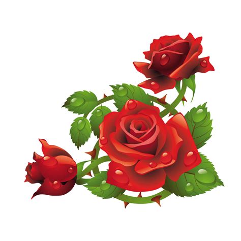 Gambar Ornamen Bunga Mawar Bungainfos