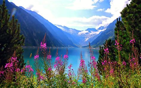 Beautiful Nature Mountain Lake Flowers Free Hd Wallpaper