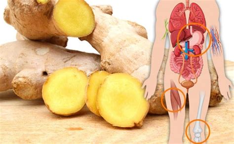If You Eat Ginger Everyday For 1 Month This Is What Happens To Your