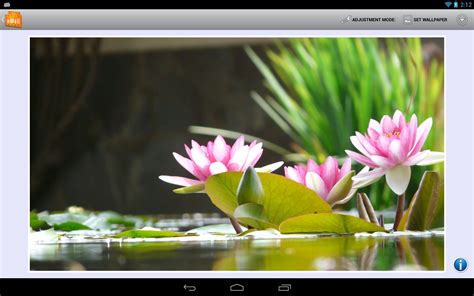 Background Changer Apk For Android Download