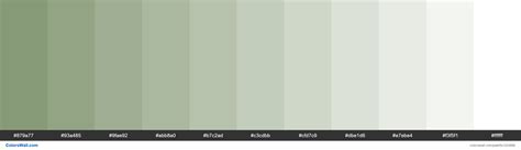 Pale Green Ral Colors Palette Colorswall