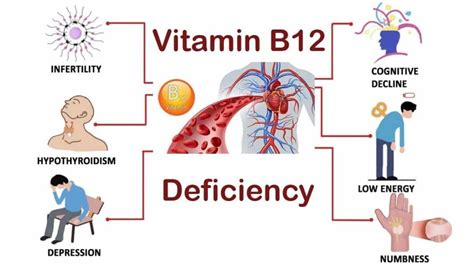 علائم کمبود ویتامین B کاربردها و قیمت فروش ویتامین B