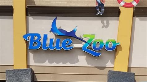 Blue Zoo Oklahoma City Set For Grand Opening Kokh