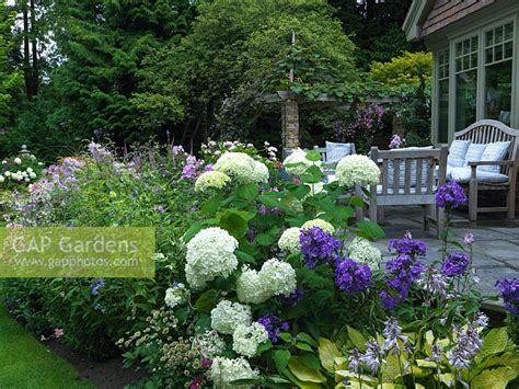 Find the perfect hydrangea border stock photos and editorial news pictures from getty images. GAP Gardens - Raised terrace edged in herbaceous border ...