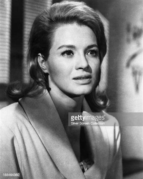 American Actress Angie Dickinson Circa 1960 News Photo Getty Images
