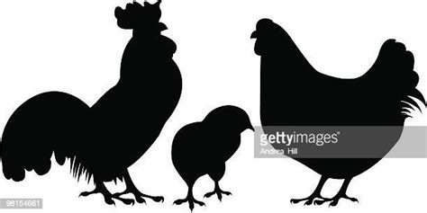 Three Cocks Photos And Premium High Res Pictures Getty Images