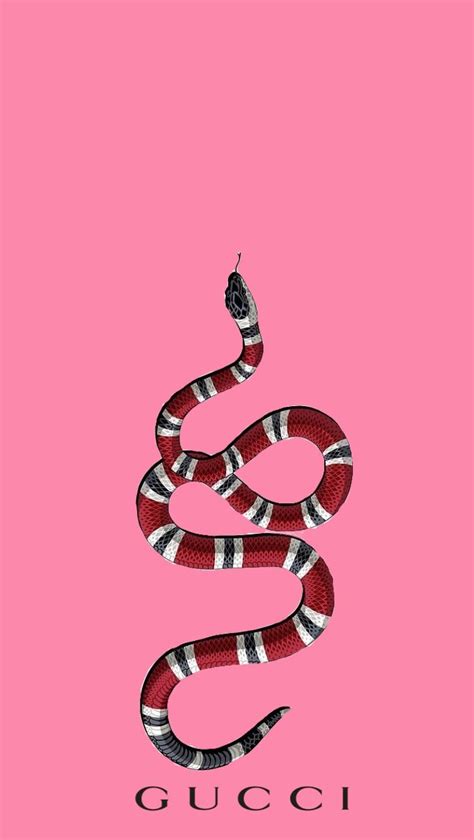 Alors Ct Bien Du Poulet Au Chinois 😆 Hypebeast Wallpaper Gucci Wallpaper Iphone Snake